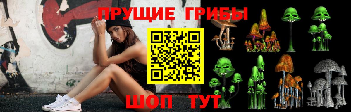 Псилоцибиновые грибы прущие грибы Костомукша