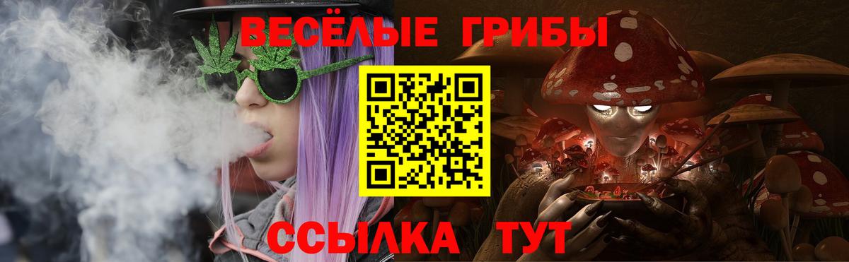 Галлюциногенные грибы Psilocybe  Вход с VPN  Костомукша 